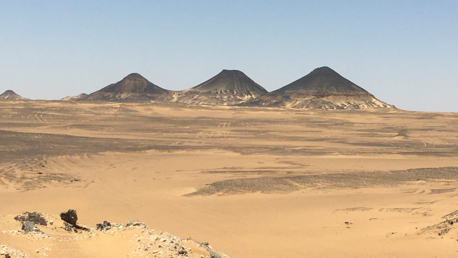 Escursione al wadi el Hitan valle delle balene da Port Said